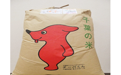 令和6年産大多喜町産コシヒカリ精米30ｋｇ、年間12回お届け T50002