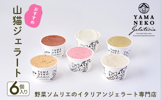 W01201 野菜ソムリエのイタリアンジェラート専門店<山猫ジェラート>おすすめ6個セット