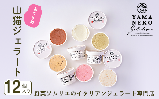 W02401 野菜ソムリエのイタリアンジェラート専門店＜山猫ジェラート＞おすすめ１２個セット