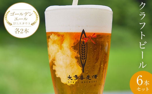 W01601 クラフトビール６本セットゴールデンエールIPAスタウト各２本