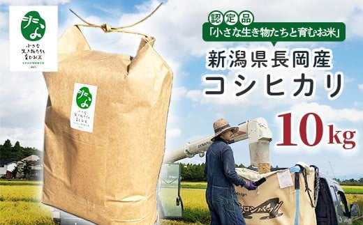 25-7SC101【精米】新潟県長岡産コシヒカリ10kg【「小さな生き物たちと育むお米」認証品】