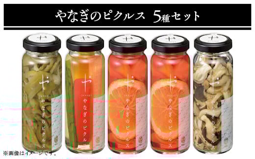 81-20やなぎのピクルス5本セット