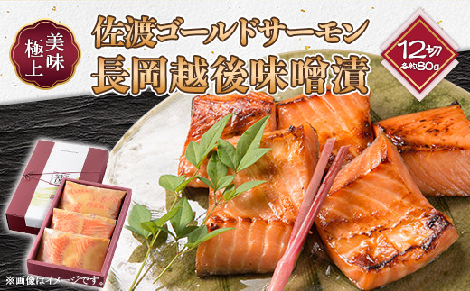 66-19美味極上 佐渡ゴールドサーモンの長岡越後味噌漬 12切入