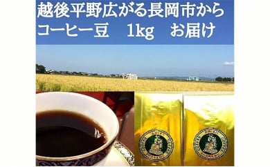 47-17Bコーヒー豆(中挽き)1kg 2種セット