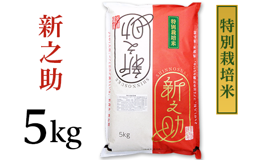 B7-ST051新潟県長岡産新之助5kg(特別栽培米)