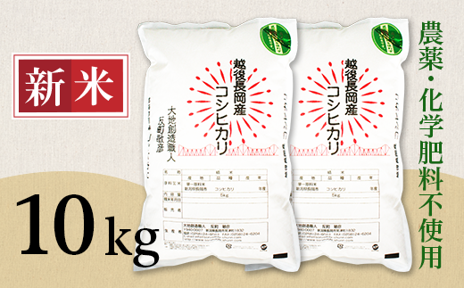 E1-S101B新潟県産米コシヒカリ10kg