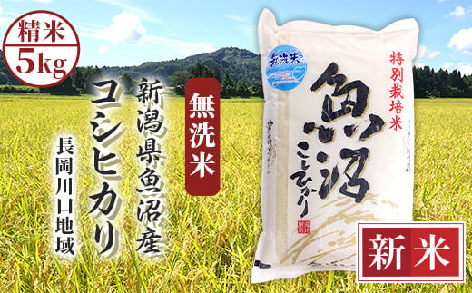 H0-7M051A新潟県魚沼産コシヒカリ(長岡川口地域)無洗米5kg