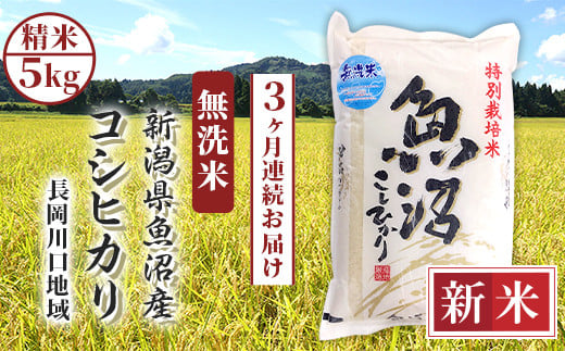 H0-7M053A【3ヶ月連続お届け】新潟県魚沼産コシヒカリ（長岡川口地域）無洗米5kg