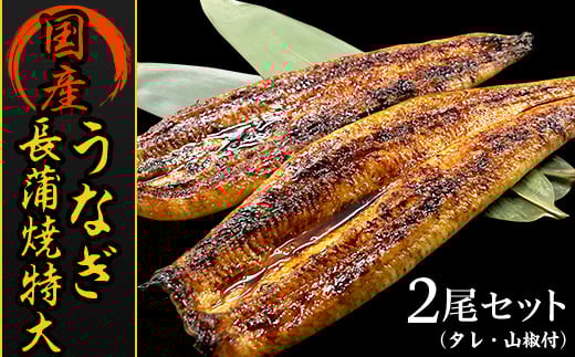 H7-93国産うなぎ長蒲焼特大2尾セット(タレ・山椒付)