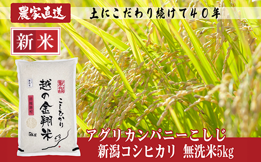 J8-7MN051【越の金翔米】新潟県長岡産コシヒカリ無洗米5kg（特別栽培米）
