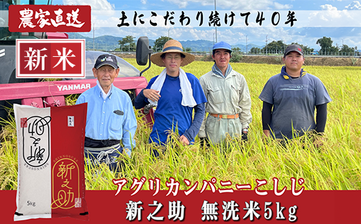 J8-7MS051新潟県長岡産　新之助　無洗米5kg