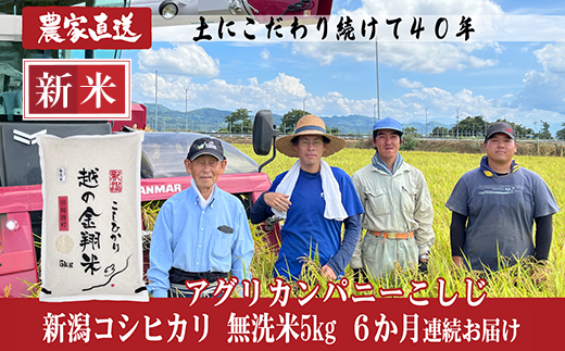 J8-7MN056【6ヶ月連続お届け】新潟県長岡産コシヒカリ無洗米5kg（特別栽培米）