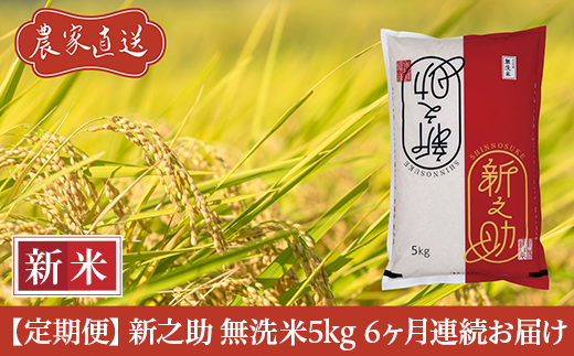 J8-7MS056【6ヶ月連続お届け】新潟県長岡産　新之助　無洗米5kg