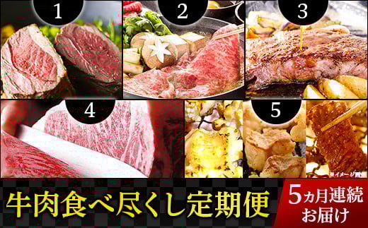 76-73A【5ヶ月連続お届け】牛肉食べ尽くし定期便
