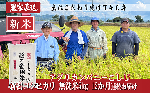J8-7MN05Z【12ヶ月連続お届け】新潟県長岡産コシヒカリ無洗米5kg（特別栽培米）