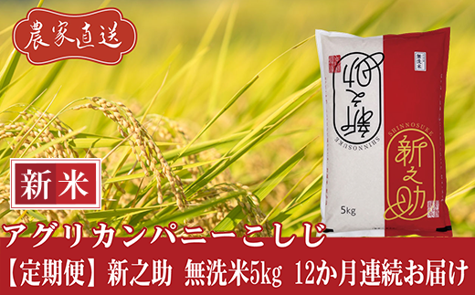 J8-7MS05Z【12ヶ月連続お届け】新潟県長岡産 新之助 無洗米5kg