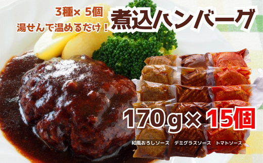 76-97B湯せんで簡単!煮込みハンバーグ食べ比べセット 3種2.5kg以上(170g×15個)