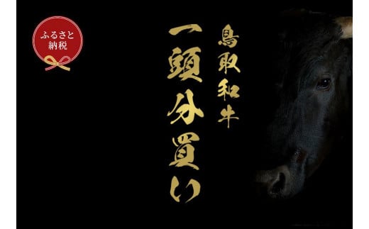 【和牛セレブ】鳥取和牛一頭分のセレブ体験（12分割納品）｜鳥取和牛 肉 お肉 にく焼肉 すき焼き しゃぶしゃぶ 食品 鳥取県産 人気 おすすめ 送料無料 ギフト 鳥取県 三朝町