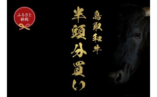 【和牛セレブ】鳥取和牛半頭分のセレブ体験（24分割納品）｜鳥取和牛 肉 お肉 にく焼肉 すき焼き しゃぶしゃぶ 食品 鳥取県産 人気 おすすめ 送料無料 ギフト 鳥取県 三朝町