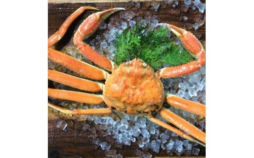 【先行予約】【魚倉】足1本なしボイル松葉ガニ(特特大1,100g)訳あり|国産 訳あり ズワイガニ 松葉ガニ カニ 蟹 かに ボイル カニ鍋 かに鍋 鍋 かにしゃぶ かにみそ 期間限定 送料無料 鳥取県 三朝町