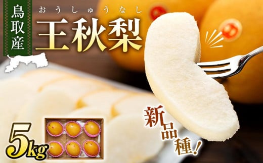 【先行予約】梨 王秋梨 鳥取産 5kg ( 5kg × 1箱 )|梨 なし 王秋梨 王秋 5kg 果物 フルーツ ナシ 甘い 果汁 和梨 箱 甘み くだもの 国産 果実 鳥取県 三朝町