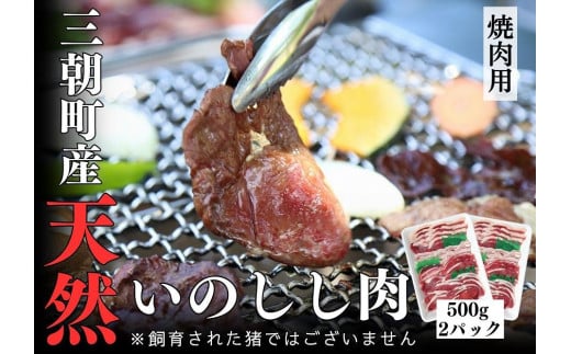 猪肉 三朝町産 焼肉用 ミックス スライス 1kg|ジビエ 肉 お肉 にく 国産 いのしし 猪 天然 ロース バラ モモ ウデ お任せ 焼き肉 BBQ 食品 三朝町産 人気 おすすめ 送料無料 ギフト 鳥取県 三朝町