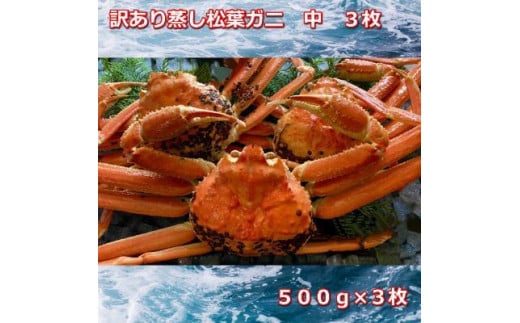 【先行予約】訳あり蒸しご自宅用 松葉ガニ 中 3枚 1枚500~640g前後MK8|国産 訳あり ズワイガニ 松葉ガニ カニ 蟹 かに ボイル カニ鍋 かに鍋 鍋 かにしゃぶ かにみそ 期間限定 送料無料 鳥取県 三朝町