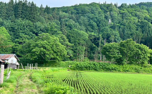 10 ［地域づくり活動団体］ 川舟自治協議会