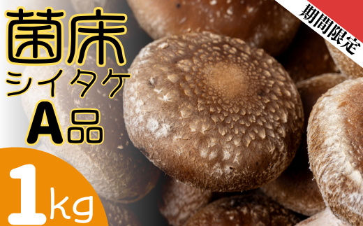 ファーム吉五郎 菌床シイタケA品1kg