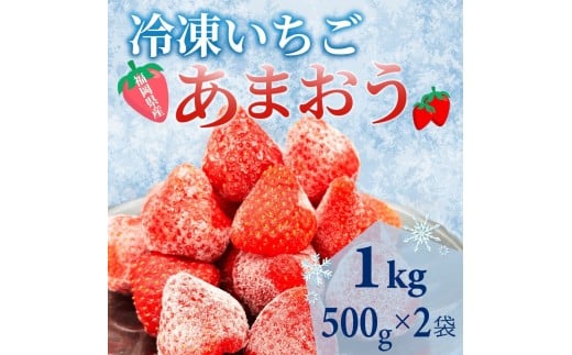 【福岡スイーツ自然の贈り物】かわいい化粧箱入り!福岡県産冷凍あまおう合計1kg(500g×2袋)【イチゴ いちご 苺 あまおう 果物 くだもの 博多名物 冷凍 スイーツ 贈答用 ギフト プレゼント 食品 人気 おすすめ 福岡県 大任町 BC015】