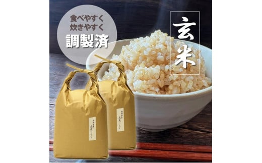 ＜令和6年産＞福岡県産【特A】評価のお米「元気つくし」5kg×2袋 [10kg] [玄米]【米 お米 こめ ご飯 福岡県産 食べ比べ 玄米 健康 志向 食品 人気 おすすめ 福岡県 大任町 AP046】