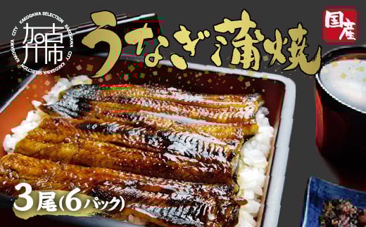 鰻の蒲焼き3尾(6パック)たれ別・挽きたて粉山椒付《 ふっくら 焼きたて うなぎ蒲焼き お茶漬け ひつまぶし 》【2403D05601】