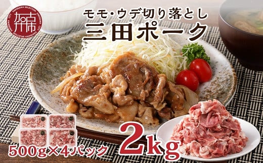 ★選べる配送月★【12月発送】 三田ポーク もも・ウデ切り落とし 2kg(500g×4パック)《 豚肉 ふるさと納税 セット 小分け 切り落とし 簡単 便利 野菜炒め 豚丼 お取り寄せ お取り寄せグルメ 送料無料 》【2401A00209-00】