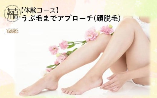 【体験コース】うぶ毛までアプローチ(顔脱毛)《 美容 脱毛 顔 うぶ毛 体験 女性 ご褒美 贅沢 息抜き 》【2500L11803】