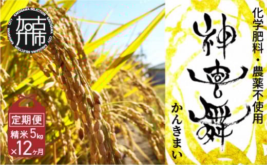【お米の定期便】お米“神喜舞”精米計60kg(精米5kg×12ヶ月) [令和7年産]【11月中旬より提供開始】《お米 米 ヒノヒカリ 定期便 神喜舞 白米 精米》【2528B08405】