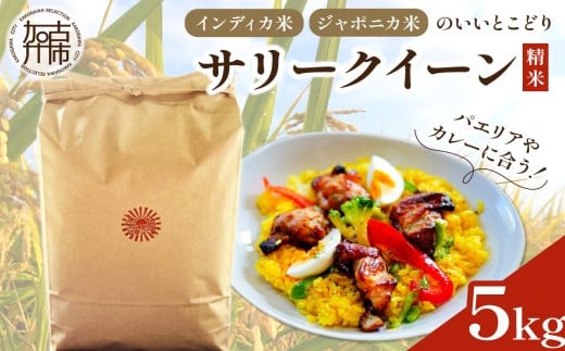 お米 サリークイーン 精米《 お米 精米 5キロ 安心 安全 バスマティ 日本晴 米 おこめ 国産 送料無料 ピラフ パエリア 》【2401B08406】
