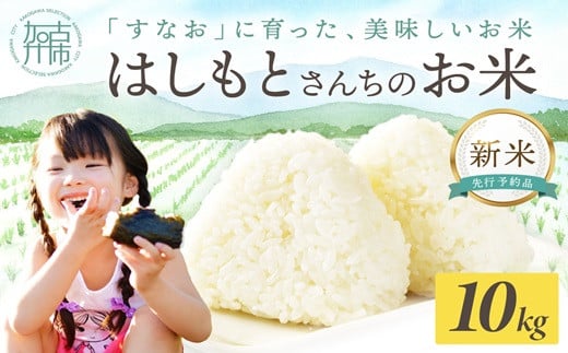 ☆先行予約☆【新米 令和7年産 2025年11月より順次発送】はしもとさんちのお米(10kg)《 お米 米 ヒノヒカリ 精米 お米10kg お米10キロ ごはん ご飯 》【2503B14302】
