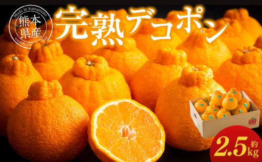 熊本県産 完熟 デコポン 計2.5kg(10~12玉) 果物 くだもの フルーツ 蜜柑 ミカン 柑橘 【2026年3月上旬~3月下旬発送予定】