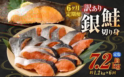【定期便6か月】銀鮭カット 切り身 約1.2kg 定塩 バラ冷凍 形不揃いのため訳あり 総量約7.2kg 銀鮭 鮭 塩鮭 サケ シャケ サーモン 切身 魚 冷凍 皮付き 焼き鮭 焼き魚 おかず 家庭用 定期便 熊本市