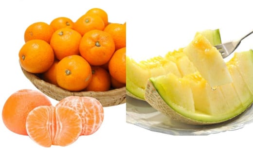 熊本市産アールスメロンと熊本市産青島みかんセット 【2025年12月上旬~2026年1月下旬迄発送予定】 メロン アールスメロン みかん 蜜柑 果物 フルーツ セット 熊本市産