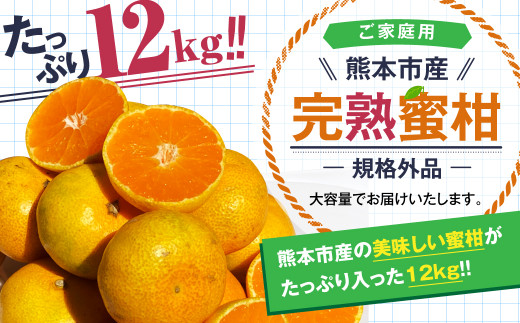 【規格外品】熊本市産 完熟 蜜柑 ご家庭用 12kg【2025年9月上旬~2026年2月上旬迄発送予定】 みかん ミカン 果物 フルーツ
