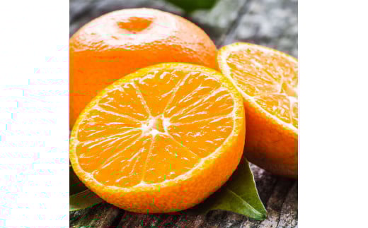 訳ありみかん 約5kg みかん 蜜柑 果物 くだもの フルーツ 【2025年10月下旬~2026年2月下旬発送予定】