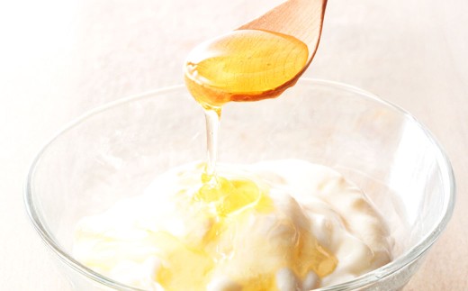 ハンガリー産 アカシア蜜 500g アカシア はちみつ ハチミツ 蜂蜜 ハニー 健康食品 常温