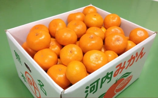 叶果樹園 みかん 家庭用 約4kg(S~Lサイズ混合40~60個) ミカン フルーツ 果物 くだもの サイズ混合 常温 国産 【2025年10月下旬~12月上旬迄順次発送予定】