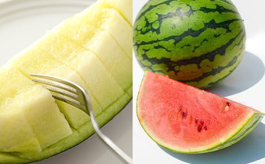 熊本産 小玉すいか&肥後グリーンメロン【2026年4月下旬~7月上旬迄順次発送予定】すいか メロン 果物 フルーツ