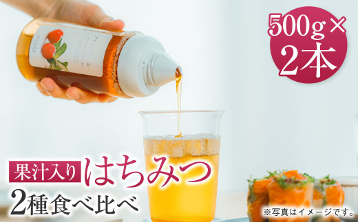 熊本 杉養蜂園 【ゆず蜜×シャインマスカット】果汁入り はちみつ 500g 2種 計1kg 食べ比べ 蜂蜜