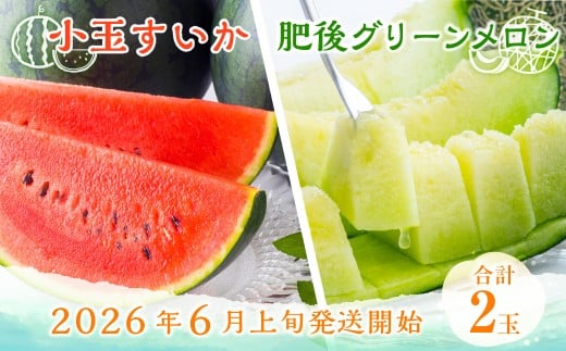 熊本県産 小玉すいか & 肥後グリーンメロン 各1玉 果物 フルーツ セット ギフト 贈答品 贈り物 【2026年6月上旬~6月下旬迄順次発送予定】