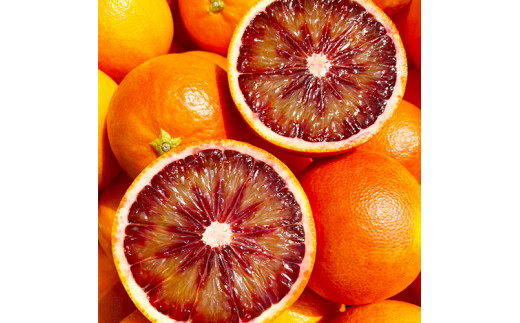 熊本産 ブラッドオレンジ 4キロ前後【2026年2月下旬~4月上旬迄順次発送予定】 オレンジ 果物 フルーツ 希少 国産