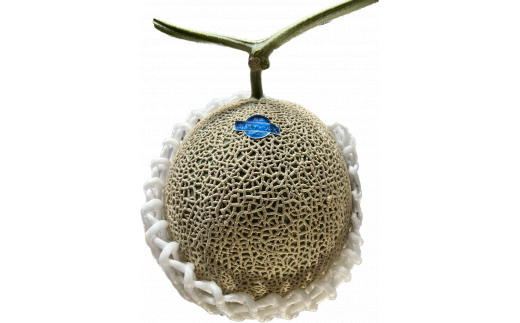 マスクメロン (アールスメロン) 1玉入り （1.5kg以上)【2026年5月下旬～6月下旬迄順次発送予定】