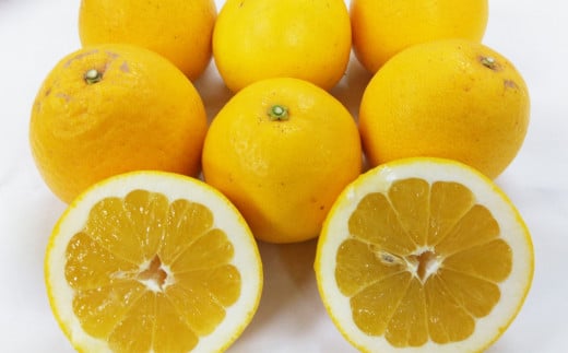 河内晩柑 【手選別まごころ選果】 約5kg サイズ不選別【2026年3月下旬~6月上旬迄順次発送予定】